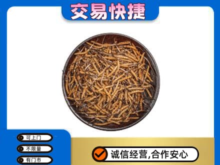 花莲县回收散虫草